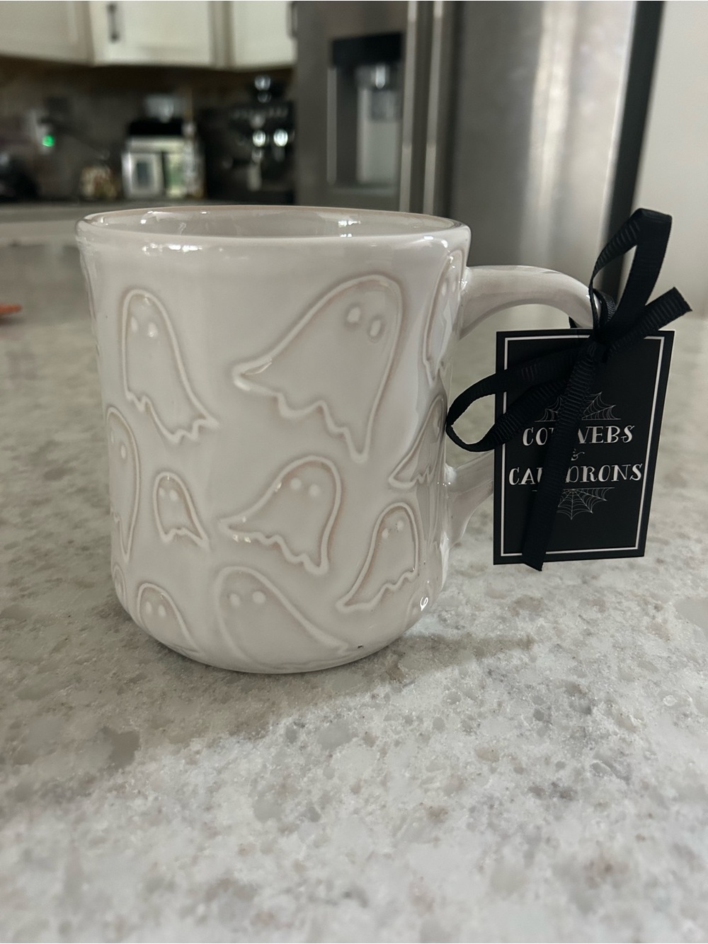 “New” Cobwebs & Cauldrons Embossed Ghost Ceramic Mug